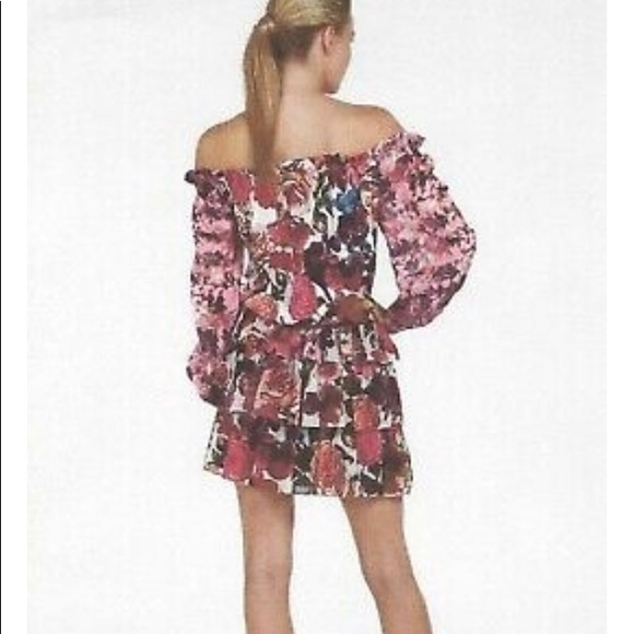 Boston Proper Off Shoulder Ruffle Dress - Picture 3 of 12